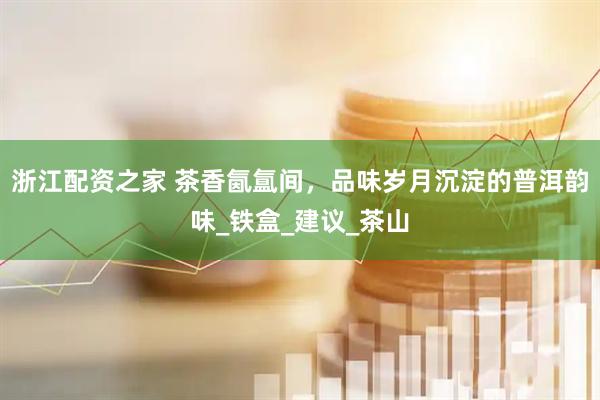 浙江配资之家 茶香氤氲间，品味岁月沉淀的普洱韵味_铁盒_建议_茶山