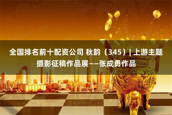 全国排名前十配资公司 秋韵(345)| 上游主题摄影征稿作品展——张成勇作品