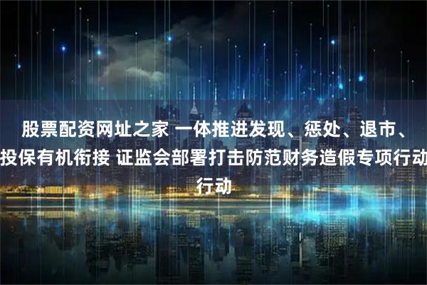 股票配资网址之家 一体推进发现、惩处、退市、投保有机衔接 证监会部署打击防范财务造假专项行动